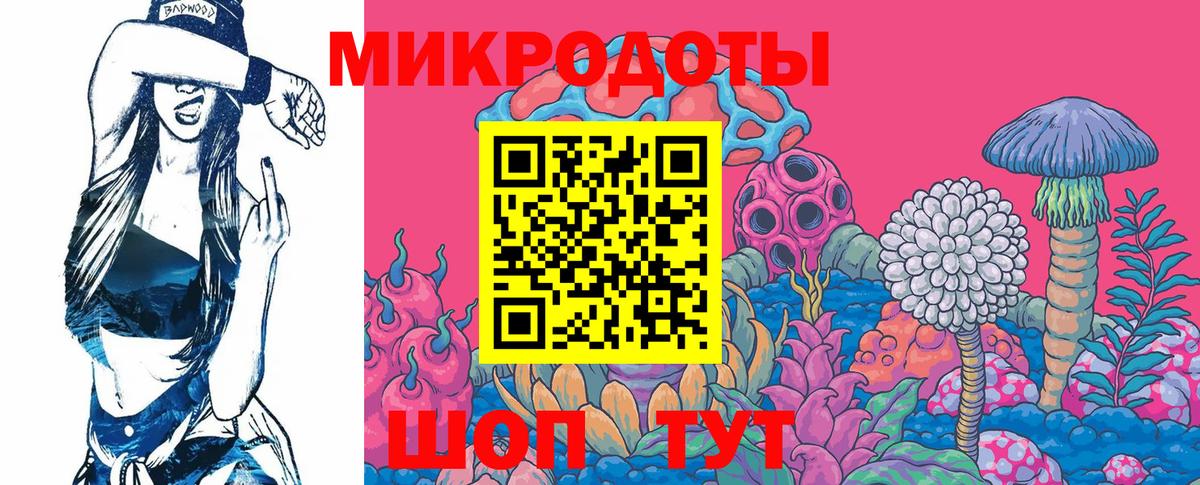 Ростов Великий  Псилоцибиновые грибы MAGIC MUSHROOMS  Вход с VPN 
